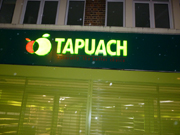 Tapuach